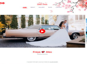 Good Times - Видеогалерея HTML Шаблон сайта  5