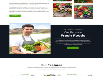 Foodz- Agro Food Шаблон для использования шаблона бизнес-сайта Argo Firm