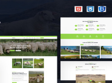 Bhera — шаблон  овцеводческой фермы