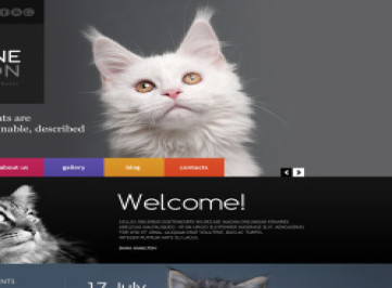 Шаблон адаптивного  Cat  