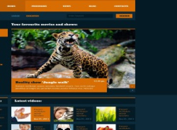 Шаблон сайта модного телеканала  