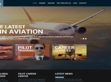  шаблон  частной авиакомпании  