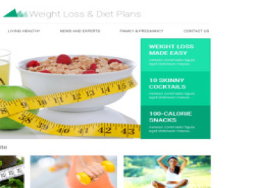  шаблон сайта для похудания  