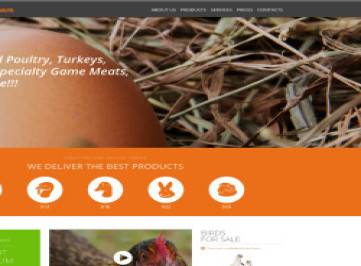  шаблон  птицефабрики  