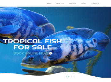 Шаблон адаптивного  Fish  