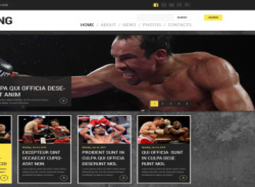 Шаблон  боксерского портала  