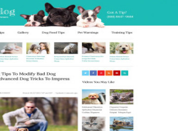 Шаблон сайта ветеринарного блога  