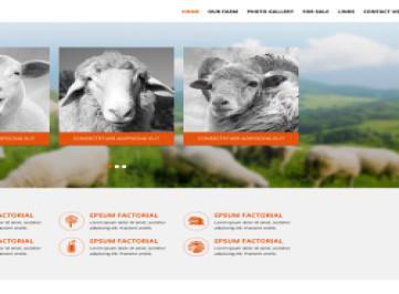 Шаблон сайта овцеводческой фермы  