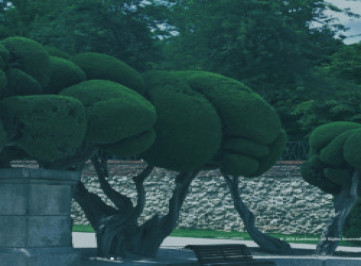 Gardenion - шаблон сайта ландшафтного дизайна и дизайна сада  