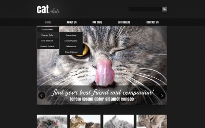 Шаблон Шаблон адаптивного  Cat  