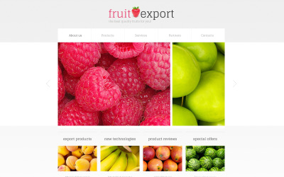 Шаблон  шаблон сайта Fruit  