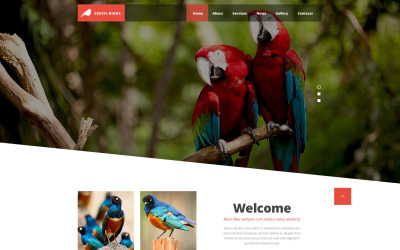 Шаблон Шаблон сайта Exotic Birds  